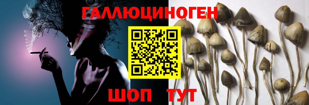 Псилоцибиновые грибы Magic Shrooms Барабинск